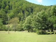 Turya Polyana - Latest photos