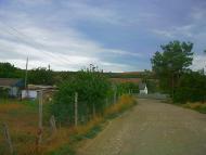 Шевченкове з panoramio.com