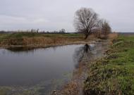 Новоселівка з panoramio.com