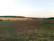 Паланочка з panoramio.com