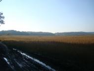 Закупне з panoramio.com