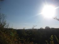 Садки з panoramio.com