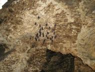 Кривче з panoramio.com