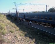 Плавні з panoramio.com