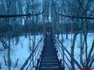 Омельник з panoramio.com