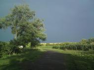 Олександрівка з panoramio.com