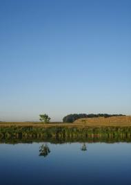 Щаснівка з panoramio.com