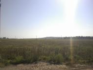 Krasnodarskyy - Latest photos