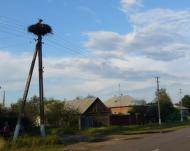 Реутинці з panoramio.com