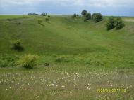 Новаки з panoramio.com