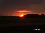 Перепельники з panoramio.com