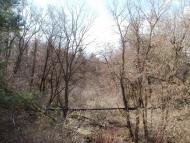 Млинки з panoramio.com