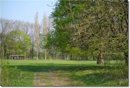 Шпичинці з panoramio.com