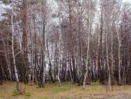 Ярова з panoramio.com