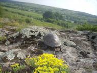 Іванівка з panoramio.com