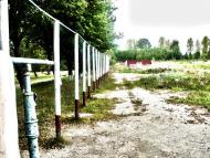 Підлісся - Останні фото