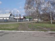 Григорівка з panoramio.com