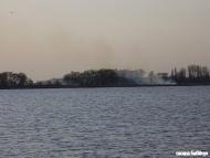 Павлівка з panoramio.com