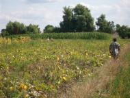 Стара Гута з panoramio.com