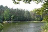 Клавдієво-Тарасове з panoramio.com