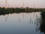 Pravda - Latest photos