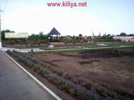 Шевченкове з panoramio.com