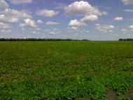 Олімпіадівка з panoramio.com