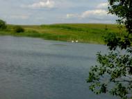 Меленці з panoramio.com