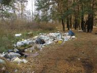 Глеваха з panoramio.com