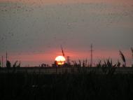 Pravda - Latest photos