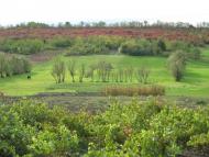 Надеждівка - Останні фото