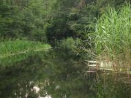 Богуслав з panoramio.com