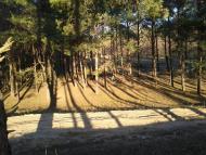 Мішково-Погорілове з panoramio.com