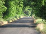 Суворове з panoramio.com