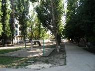 Чаплинка з panoramio.com