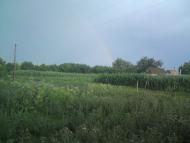 Олександрівка з panoramio.com