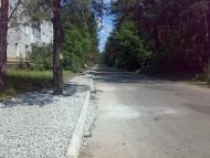 Проліски з panoramio.com