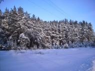 Перекопівка з panoramio.com