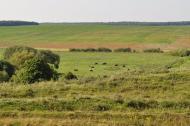 Матвіївці з panoramio.com