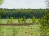 Бучмани з panoramio.com