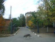 Менжинське з panoramio.com