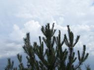 Щурове з panoramio.com - Schurove