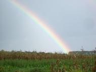 Прикордонна Улашанівка з panoramio.com