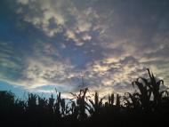 Олександрівка з panoramio.com