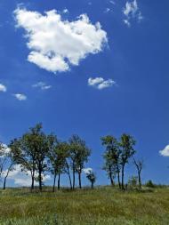 Братсько-Семенівка з panoramio.com