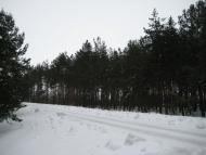 Гути з panoramio.com