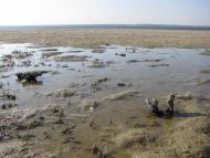 Малокаховка з panoramio.com