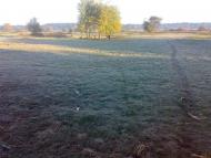 Малий Правутин з panoramio.com