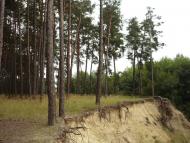 Риботень - Останні фото