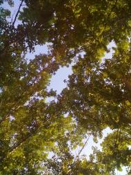 Балясне з panoramio.com